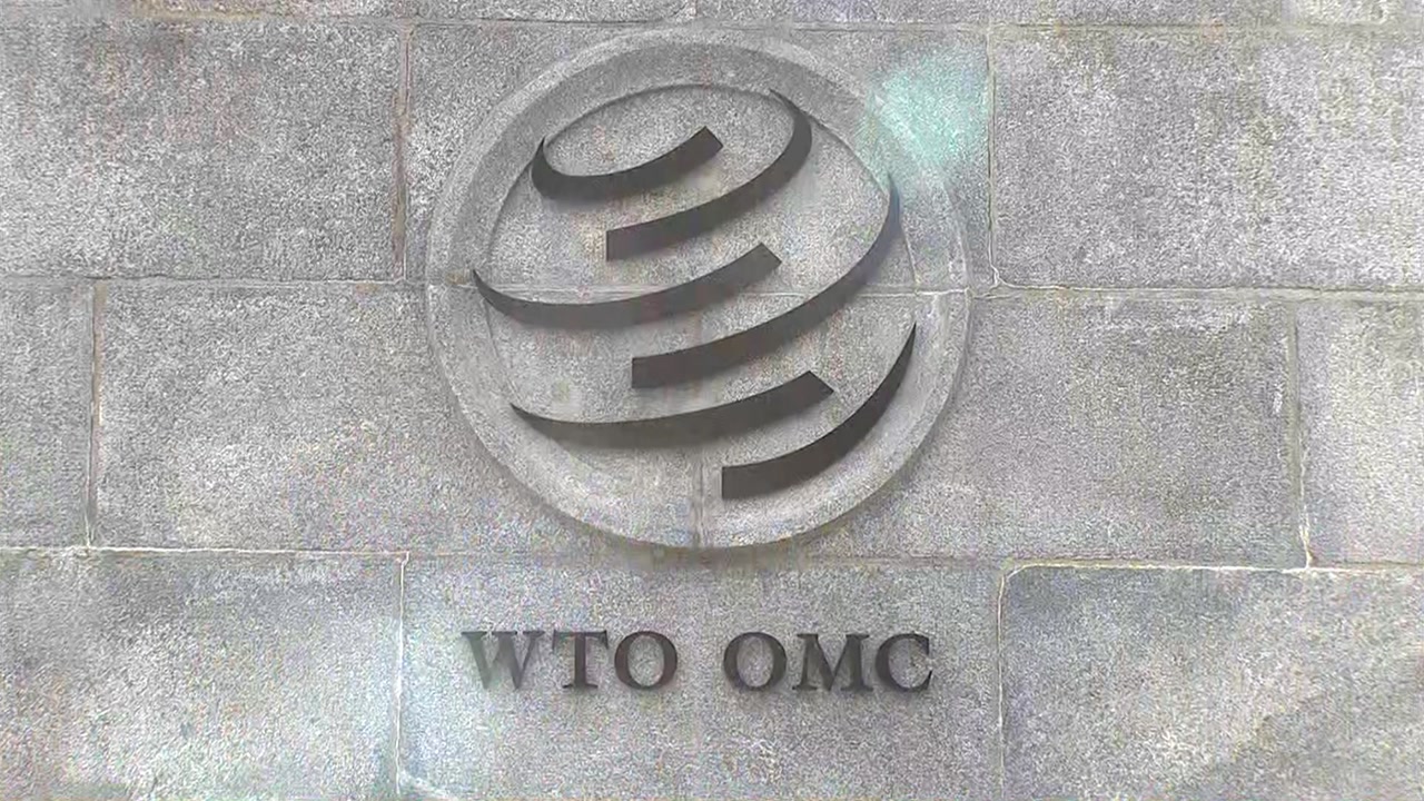 내일 '日 수출 규제' WTO 논의...이 시각 현지는?