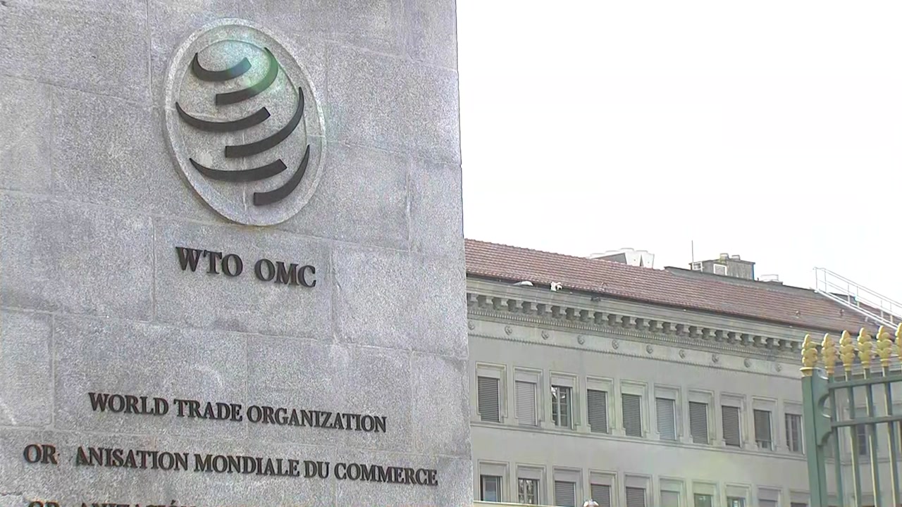 내일 '日 수출 규제' WTO 논의...이 시각 현지는?
