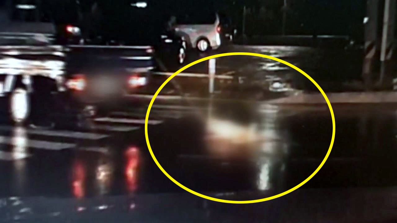 폭우 속 달리는 트럭에 '질질' 끌려가는 개 (영상)