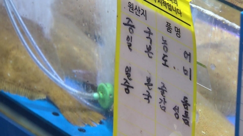 일본 수산물 '국산 둔갑' 등 연평균 70건...가리비 최다