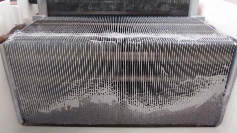 LG 콘덴서 자동세척 의류건조기 시정 권고