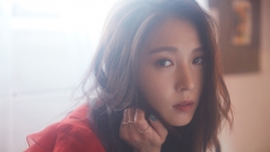 보아, 10월 단독 콘서트 개최…19일 티켓 예매 오픈 보아, 10월 단독 콘서트 개최…19일 티켓 예매 오픈