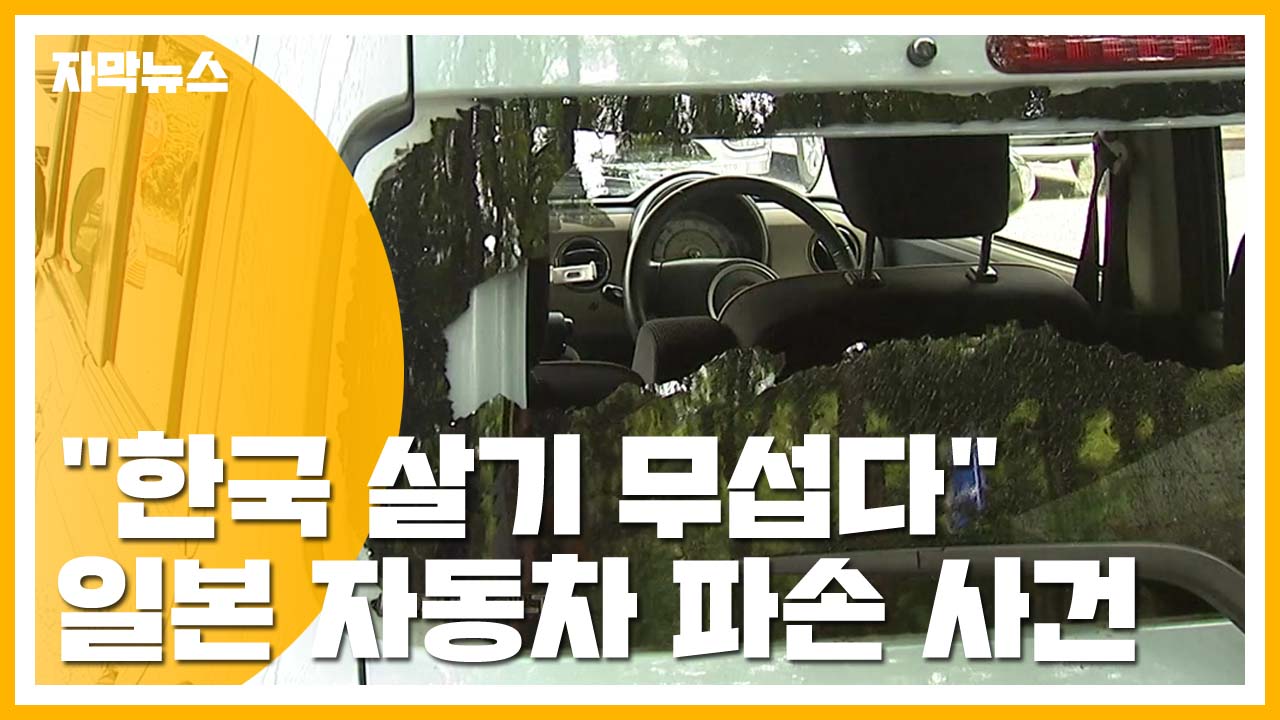 [자막뉴스] "한국에 살기 무섭다" 일본산 자동차 파손 사건