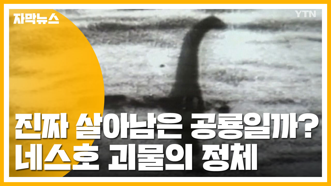 [자막뉴스] 정말 공룡이 살아있는 걸까?...네스호 괴물 정체