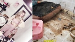 '배설물 널린 방'... 중국 SNS 스타 실체 공개한 집주인