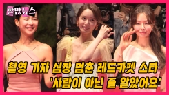 촬영기자 심장 멈추게 한 레드카펫 스타는? "사람 아닌 줄.." 촬영기자 심장 멈추게 한 레드카펫 스타는? "사람 아닌 줄.."