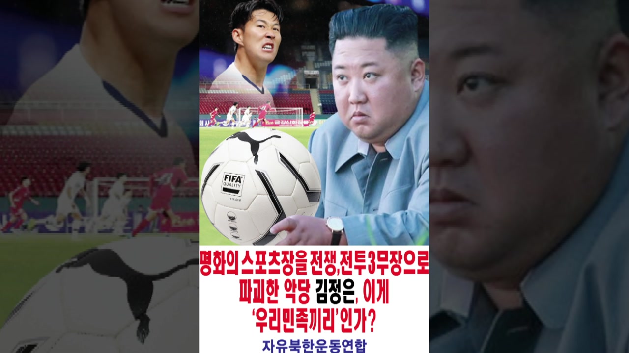 "스포츠 경기도 민족 대결로 변질"...탈북민단체, 대북전단 살포