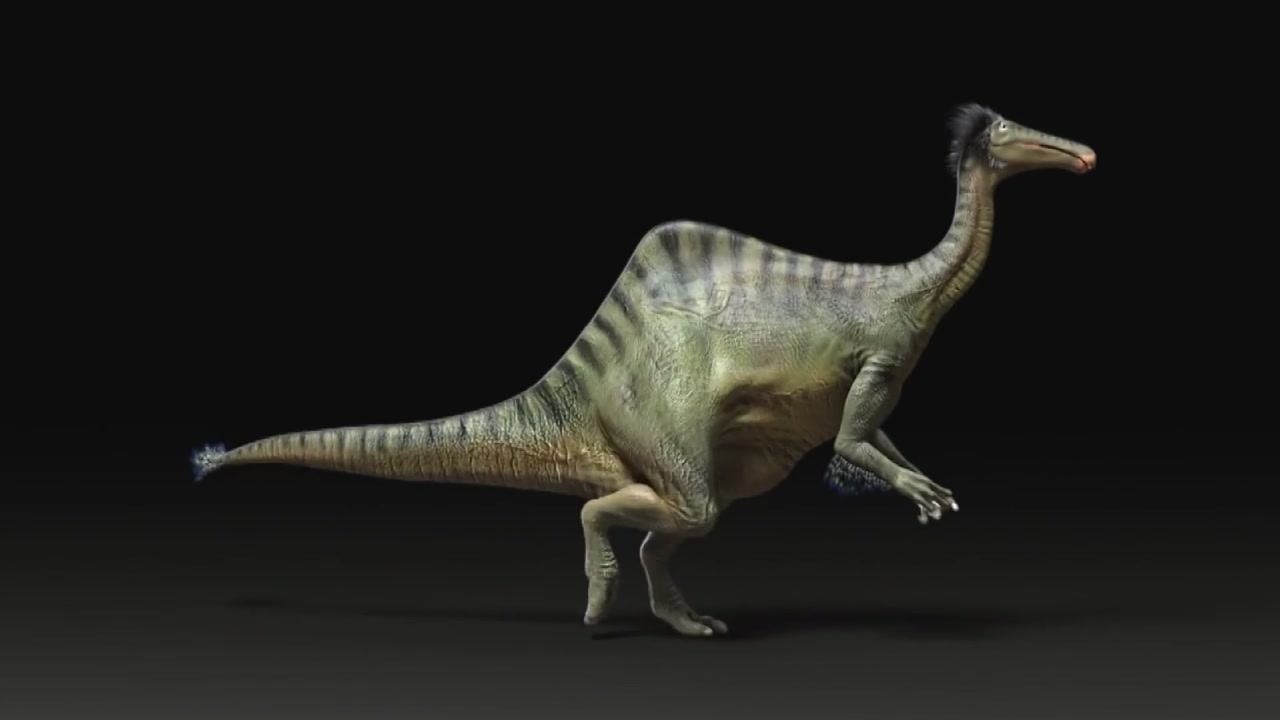 공룡 '데이노케이루스' 50년 만에 비밀 풀렸다