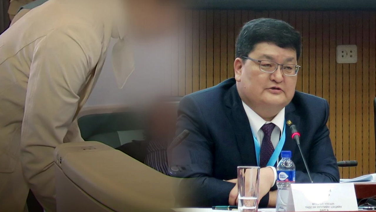 '기내 성추행' 몽골 헌재소장 체포...풀어줬다 다시 조사