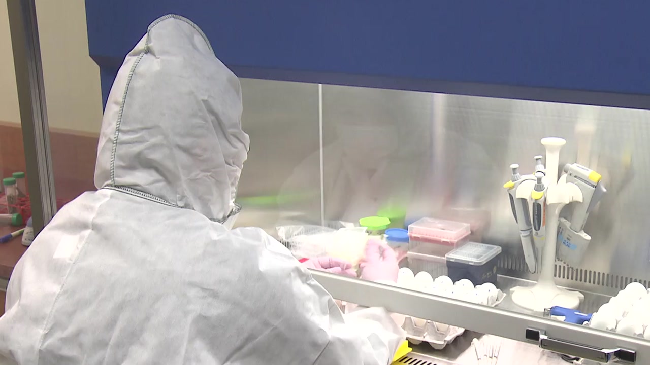 충남 아산에서 조류 인플루엔자 바이러스 검출