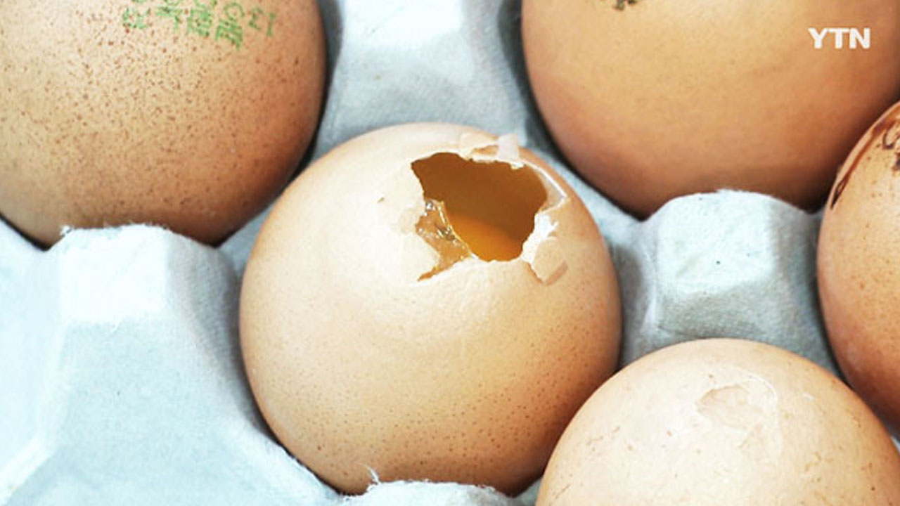 계란 50개 빨리 먹기 내기하던 인도 남성 과식으로 사망