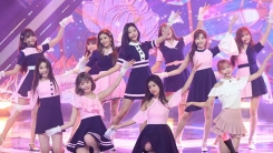엠넷 측 "아이즈원, 첫 정규앨범 발매+컴백쇼 편성 연기"(공식) 엠넷 측 "아이즈원, 첫 정규앨범 발매+컴백쇼 편성 연기"(공식)