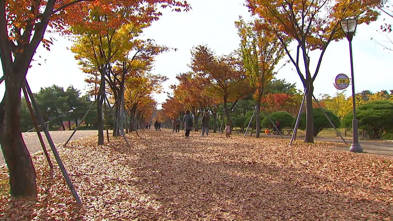 '낙엽 밟는 소리'... 도심속 가을