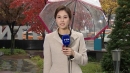 오늘 전국에 요란한 비...내일 한파특보에 황사