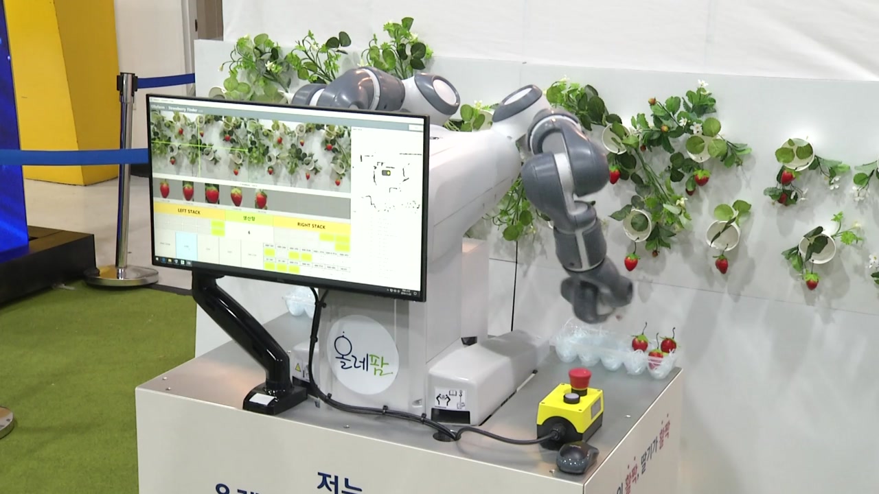 "딸기 수확은 로봇에 맡기세요"...탈바꿈한 농업 기술 모였다