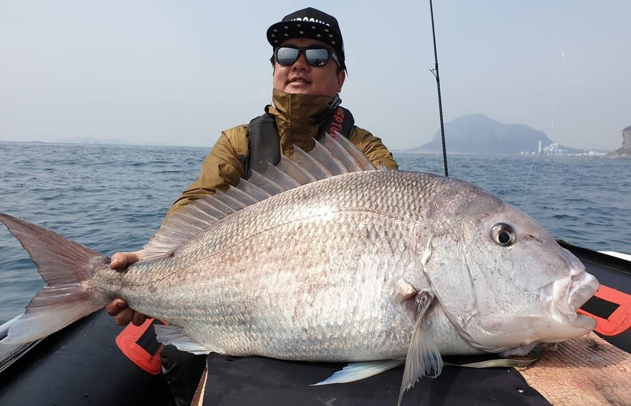 참돔, 34년 만에 110.2cm로 최대어 기록...마라바리·참다랑어, 낚시 대상어 편입