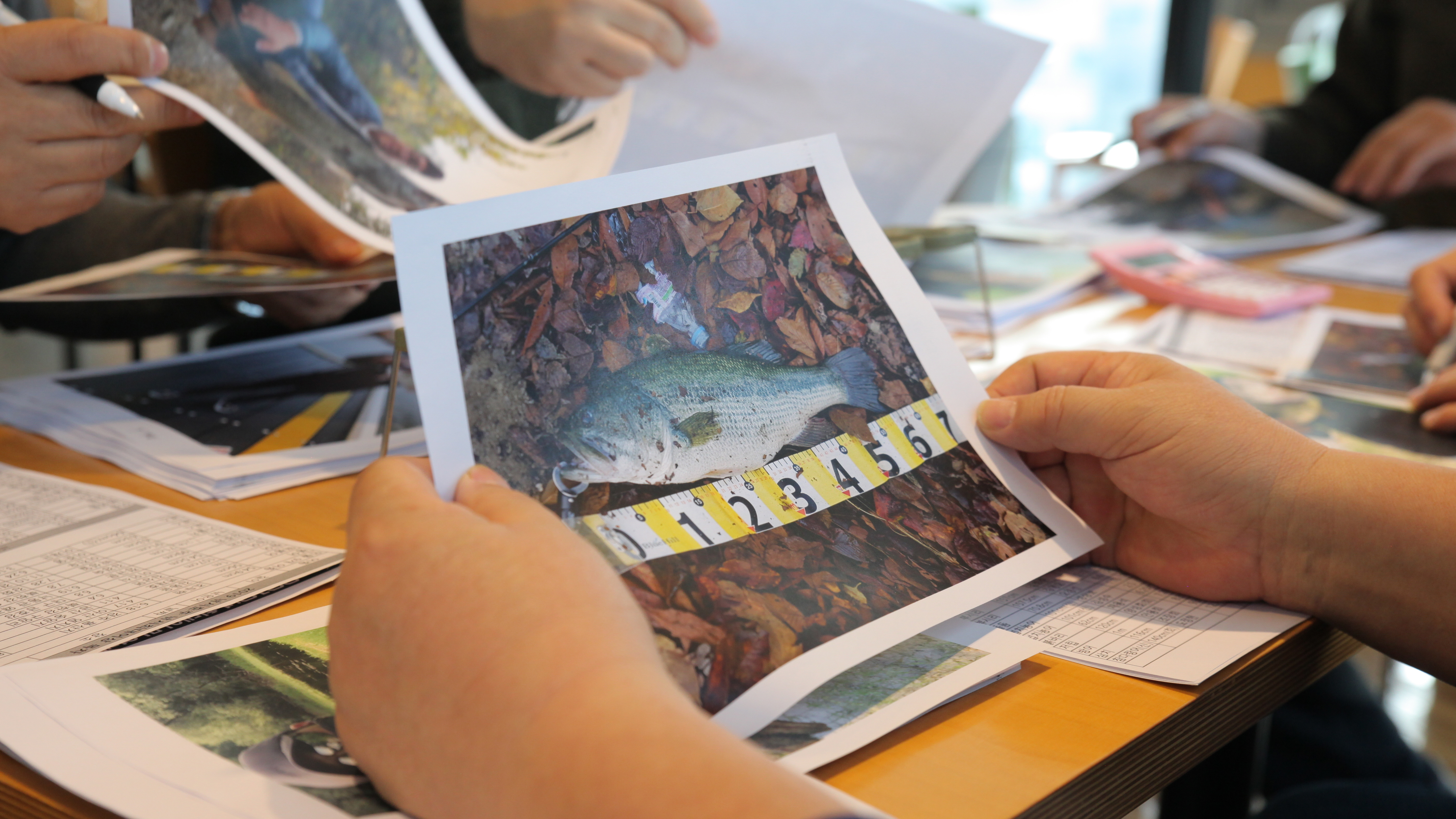 참돔, 34년 만에 110.2cm로 최대어 기록...마라바리·참다랑어, 낚시 대상어 편입