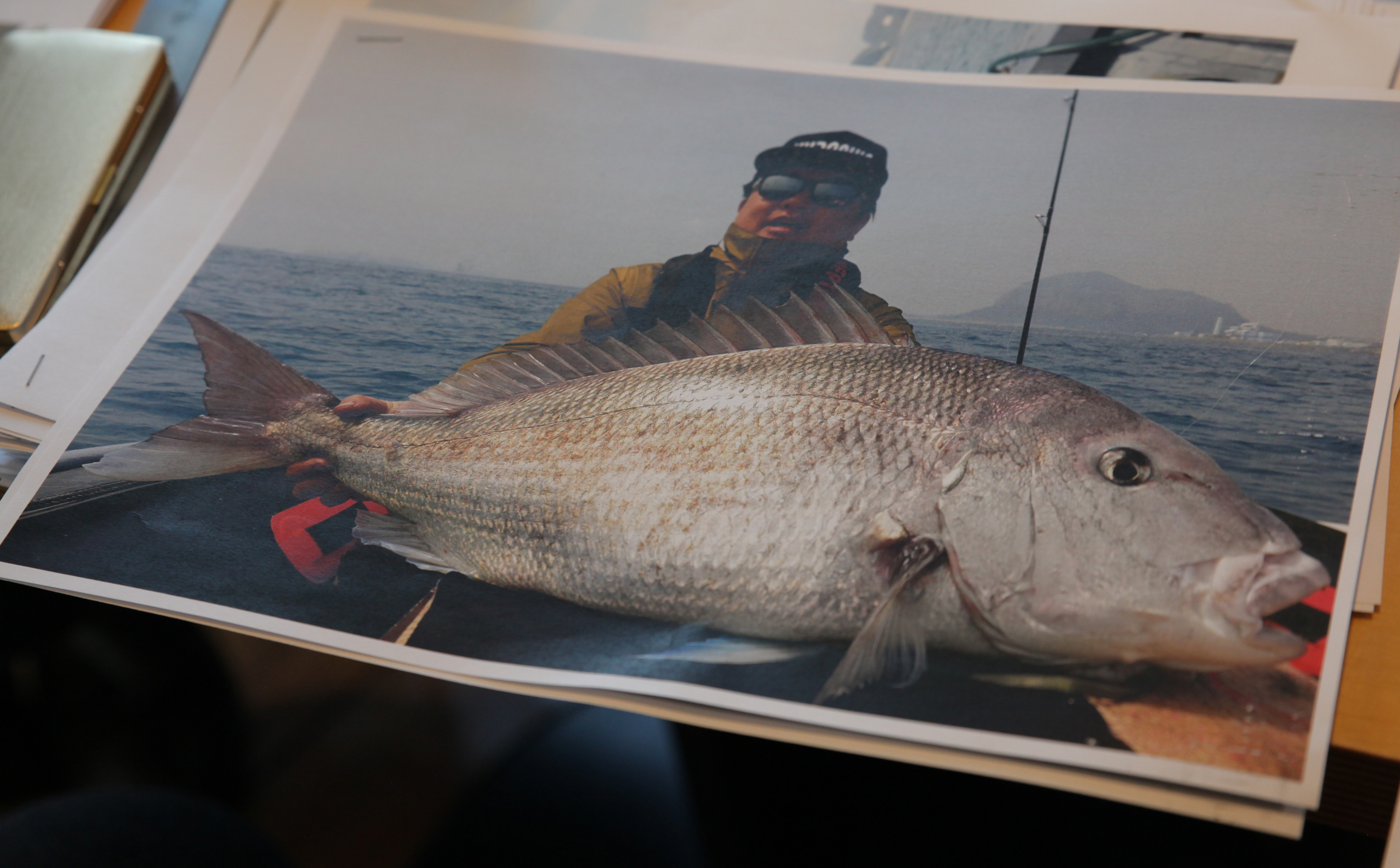 참돔, 34년 만에 110.2cm로 최대어 기록...마라바리·참다랑어, 낚시 대상어 편입