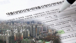 9억 초과 주택 '대출 옥죄기'...현장 반응은?