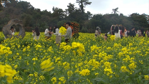 [날씨] 제주도·남해안, 관측 이래 가장 포근한 1월