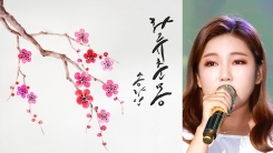 송가인, 오늘(26일) '화류춘몽' 리메이크 발매…수익 전액 기부 송가인, 오늘(26일) '화류춘몽' 리메이크 발매…수익 전액 기부