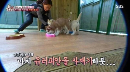 ‘동물농장', 코로나19 자막 사과..."명백한 잘못"(전문)