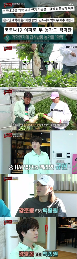 "쉬운 조리법"...\'맛남의 광장\', 코로나19 직격타 무 농가 살리기