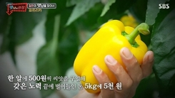 "15만원→5천원"...'맛남의 광장'이 담은 파프리카 농가 현실 "15만원→5천원"...'맛남의 광장'이 담은 파프리카 농가 현실