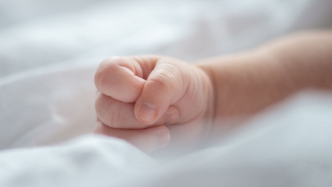 시끄럽다며 신생아 입에 손수건 넣어 숨지게 한 20대 아빠 징역 7년