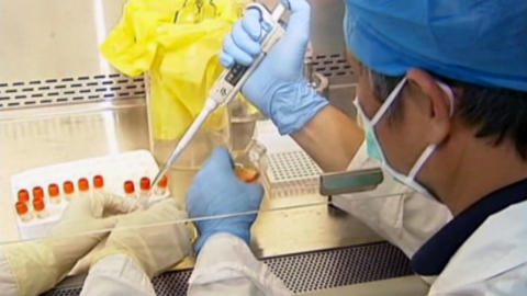 중국, 바이러스에 의한 '진드기병' 발생...60명 감염·7명 사망