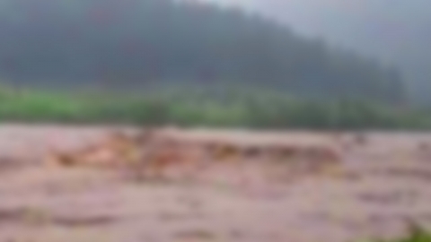 담양서 대피하다 8살 어린이 급류 휨쓸려 실종...수색 중