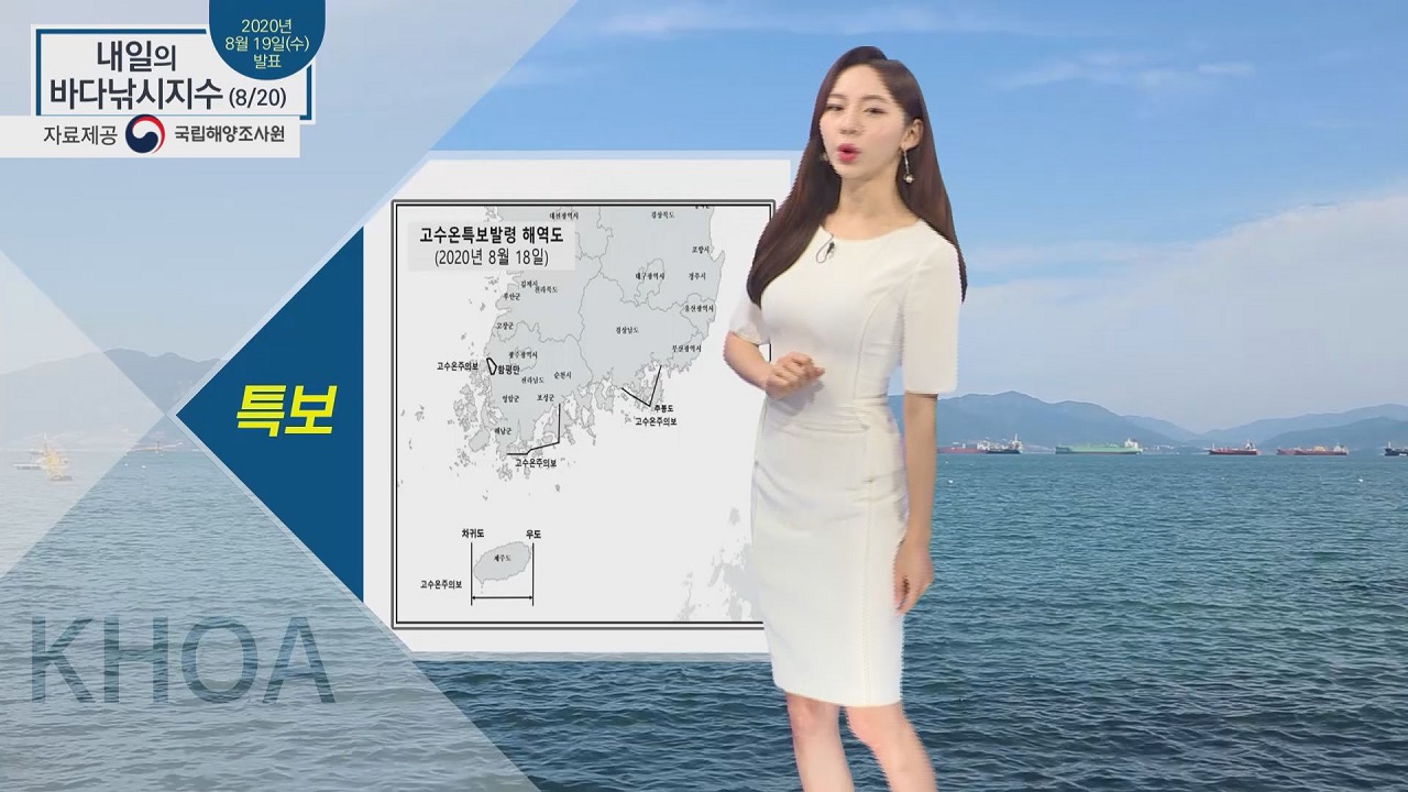 [내일의 바다낚시지수] 8월 20일 목요일, 남해안 일부, 제주도 고수온 주의보