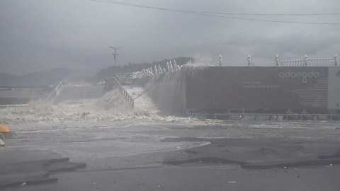 8호 태풍 '바비' 타이완 해상에서 발생...26일 한반도 상륙 전망