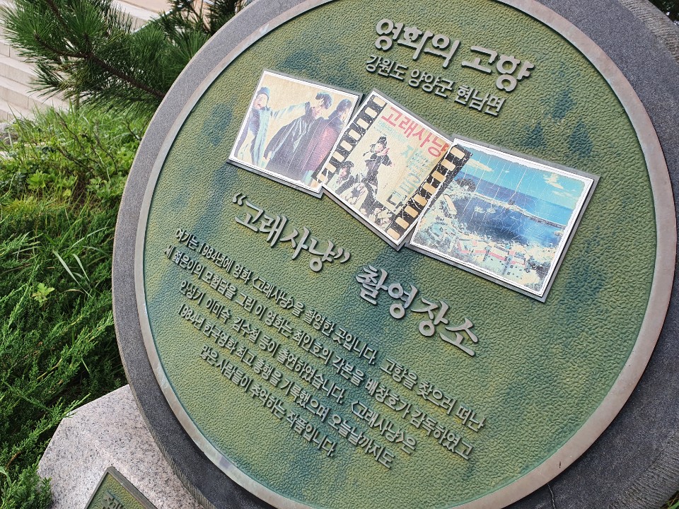 강원도 양양의 미항 남애항에서 원투낚시로 40cm급 쥐노래미 손맛