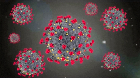 "코로나19 바이러스 기원 中 우한 연구소라는 과학적 근거 조만간 공개"