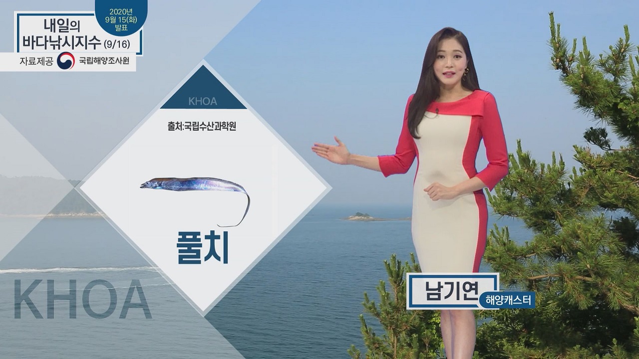 [내일의 바다낚시지수] 9월 16일 수요일, 남해, 서해 보통, 출조 무난