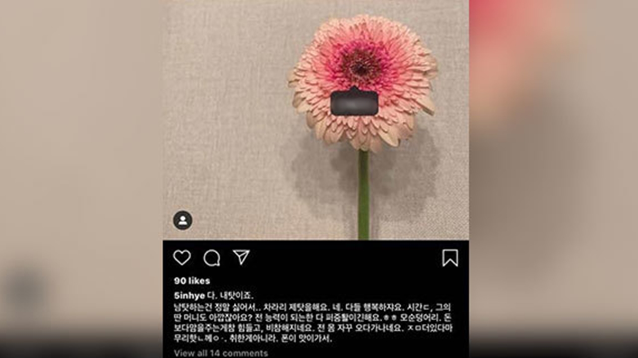 故 오인혜, 사망 전 올렸다 삭제한 것으로 알려진 SNS 글 확산   