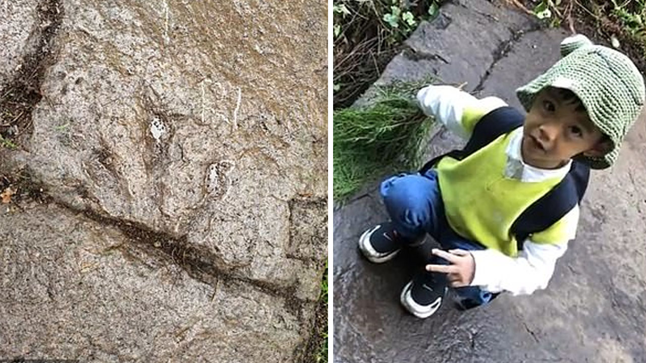 과학 좋아하는 中 5살 아동, 1억여 년 전 공룡 발자국 발견