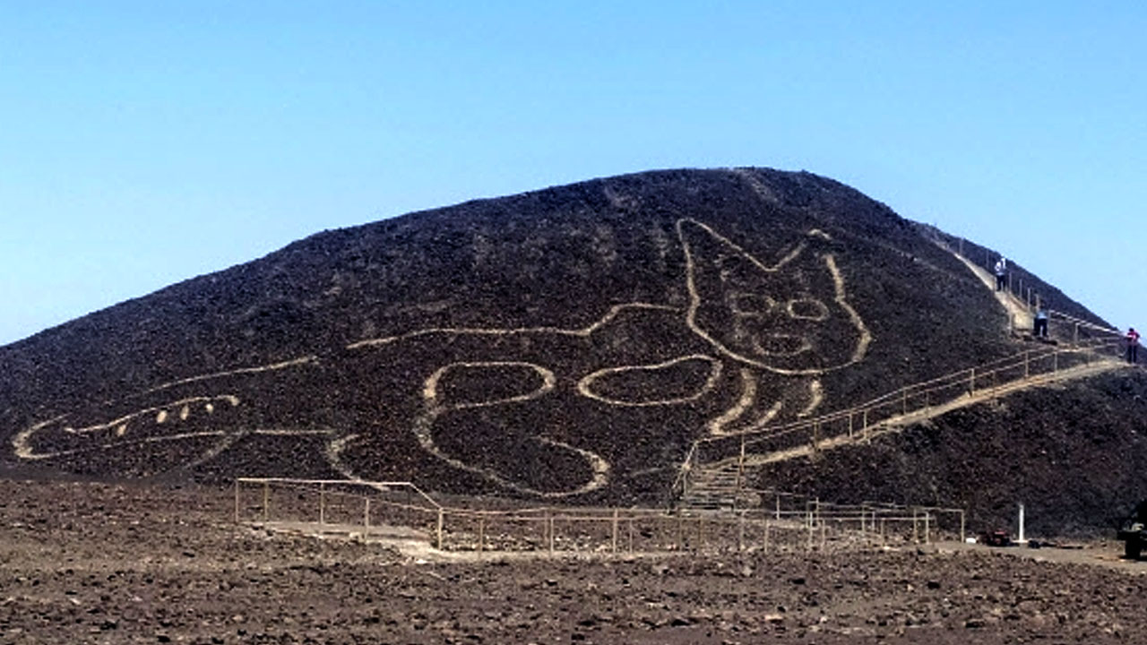 페루 언덕에서 '기원전 거대 고양이 그림' 발견돼