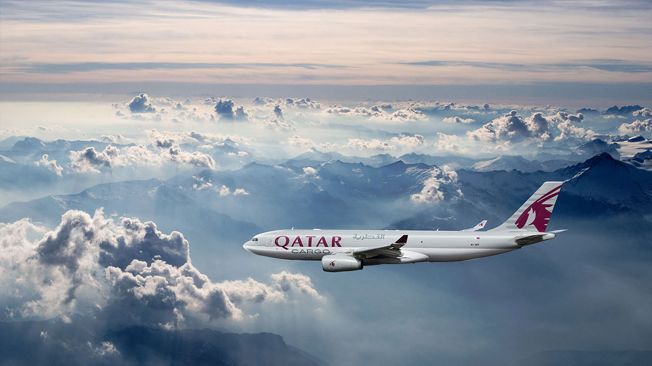 카타르 항공 '신생아 버린 엄마 찾는다'며 속옷 검사