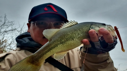 저수온기 해법은 깊은 수심대 석축 브레이크 라인, 충남 수로권 배스 탐사