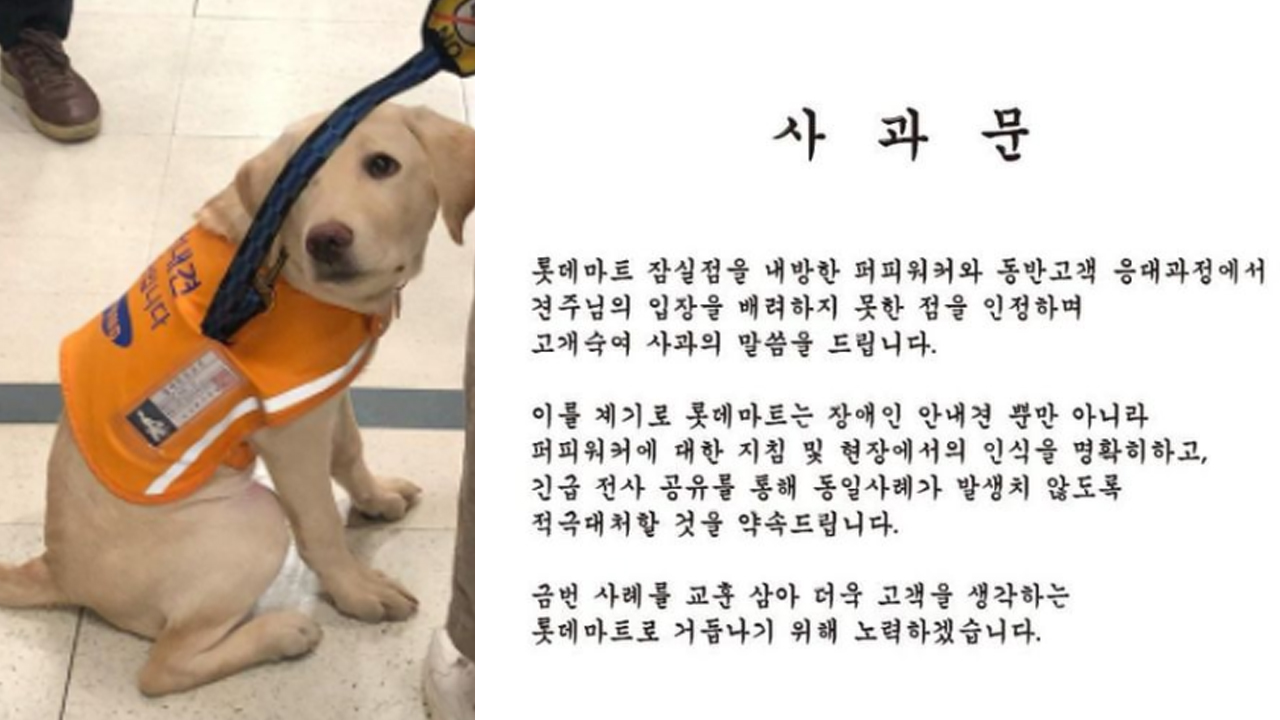 롯데마트 "응대 과정서 견주 입장 배려하지 못했다" 공식 사과 
