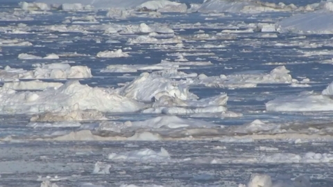 "빙하 녹는 속도 30년 전보다 57% 빨라져"