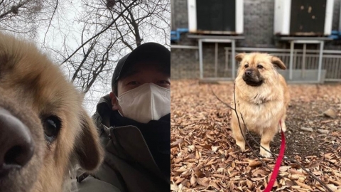 조승우, 안락사 위기 유기견 입양 “이름은 곰자”... 따뜻한 선행에 눈길