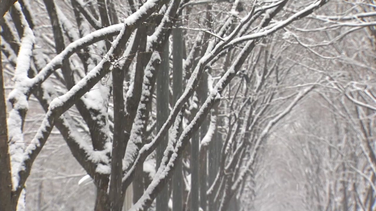 [기상센터][날씨]    출근길, 한겨울 -8.2 ℃ … 저녁부터 서쪽 곳곳에 눈