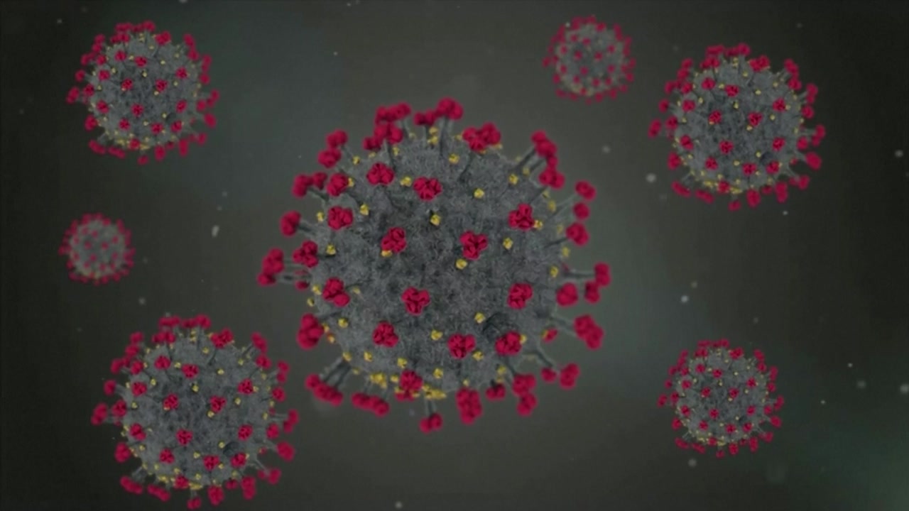 [사회]The aspect of’dominant species’ in foreign countries with mutant virus…”Expanding quarantine for entrants”