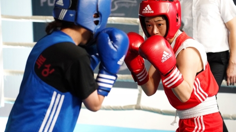 [Y현장] "인생은 싸울만한 가치가 있기에"...임성미·백서빈·오광록 '파이터'(종합)