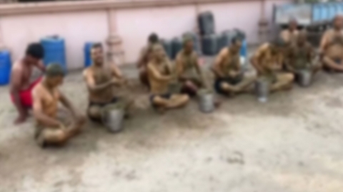 인도 의학계 '소똥' 코로나19 치료법 경고 "오히려 질병 유발"