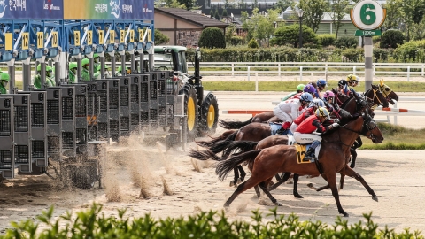한국마사회 "특화경주 25% 확대로 신마 수급 활성화"