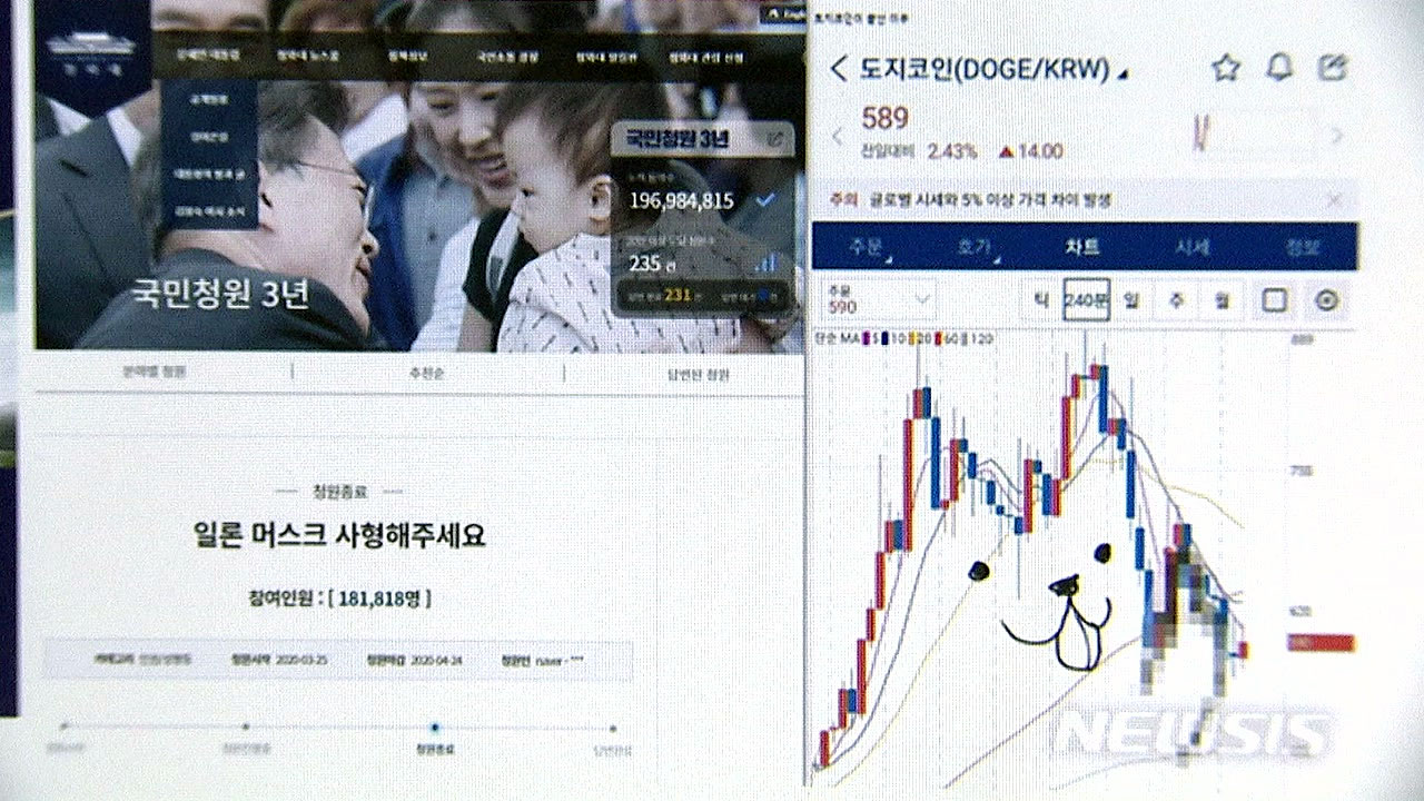 머스크 오락가락에 코인 출렁...개미들 분노 | YTN